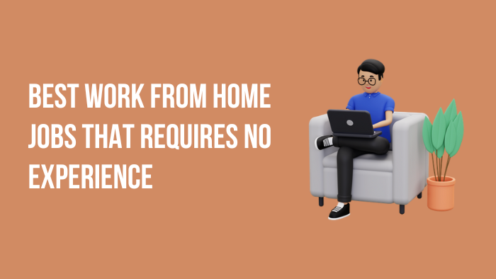 10 Best Work From Home Jobs That Requires No Experience